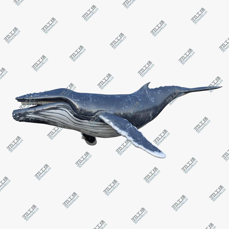 images/goods_img/2021040164/3D Humpback Whale Animated 3D/1.jpg
